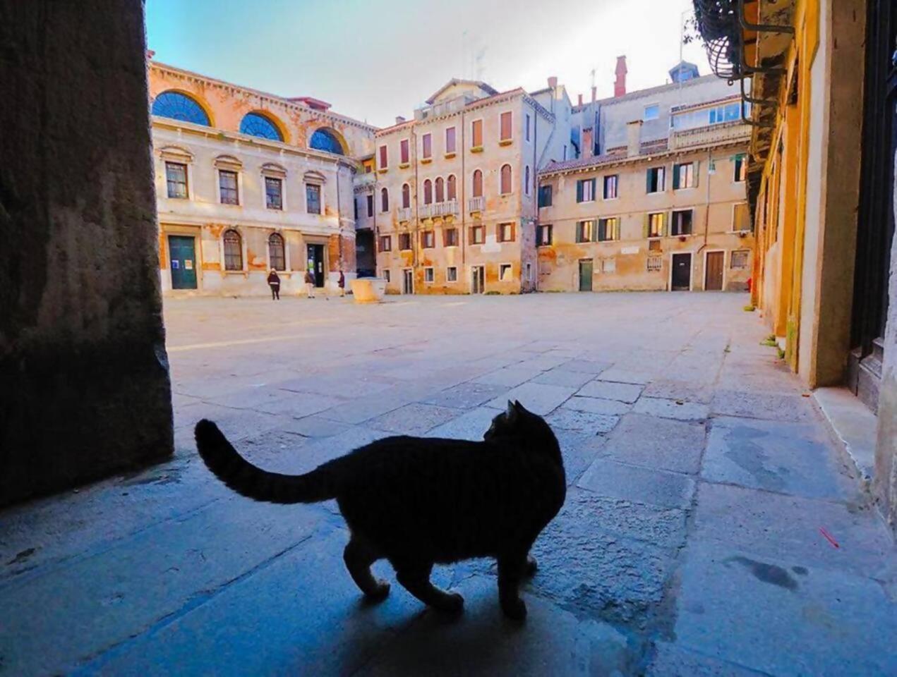 Ca Rialto Apartment Venedik Dış mekan fotoğraf